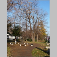 pict062.jpg