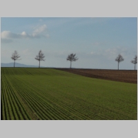 pict070.jpg