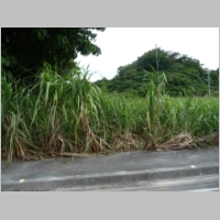 pict158.jpg