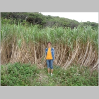 pict186.jpg
