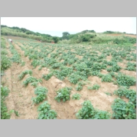 pict188.jpg