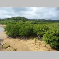 pict273.jpg