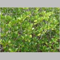 pict275.jpg