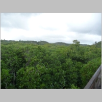 pict280.jpg