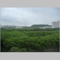 pict409.jpg
