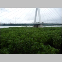 pict434.jpg