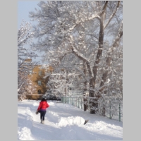 pict013.jpg