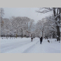 pict018.jpg