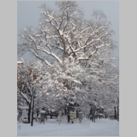 pict020.jpg