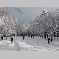 pict022.jpg