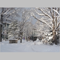 pict027.jpg