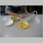 pict006.jpg