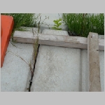 pict010.jpg