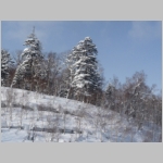 pict145.jpg