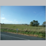 pic358.jpg