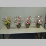 pict001.jpg