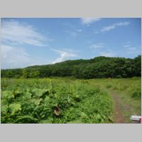pict016.jpg