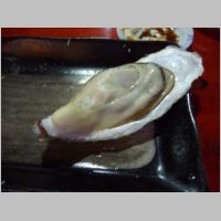 pict052.jpg