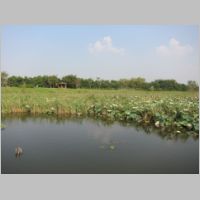 pict128.jpg