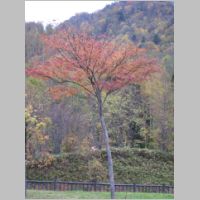 pict006.jpg