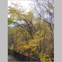 pict007.jpg