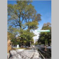 pict005.jpg