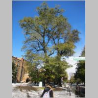 pict006.jpg