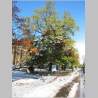 pict008.jpg
