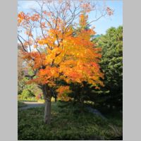 pict004.jpg