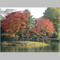 pict005.jpg