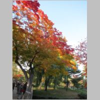 pict006.jpg