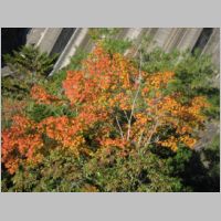 pict064.jpg