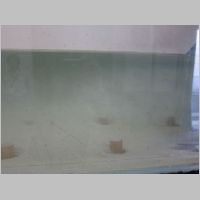 pict143.jpg