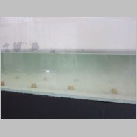 pict144.jpg