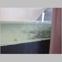 pict145.jpg