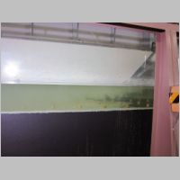 pict146.jpg
