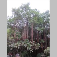 pict185.jpg