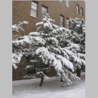pict005.jpg