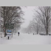 pict007.jpg