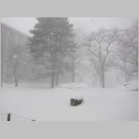 pict008.jpg