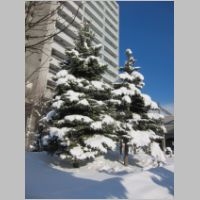 pict002.jpg