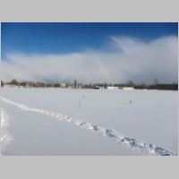 pict003.jpg