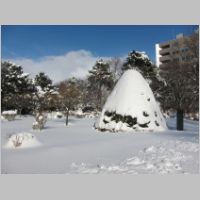 pict004.jpg