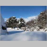 pict006.jpg
