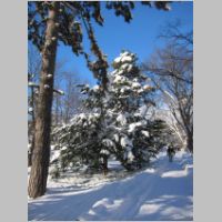 pict008.jpg
