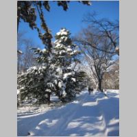 pict009.jpg