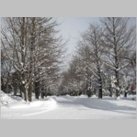 pict001.jpg