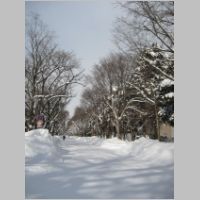 pict002.jpg