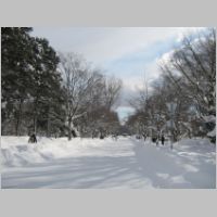 pict003.jpg