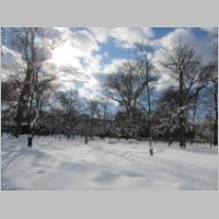 pict007.jpg